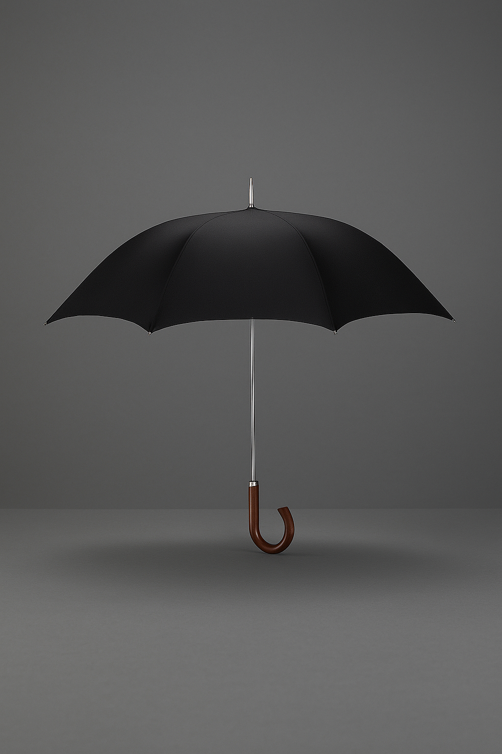 Paraguas Negro Automático