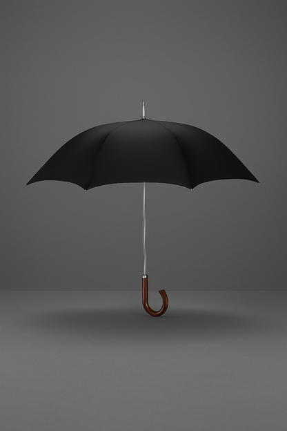 Paraguas Negro Automático